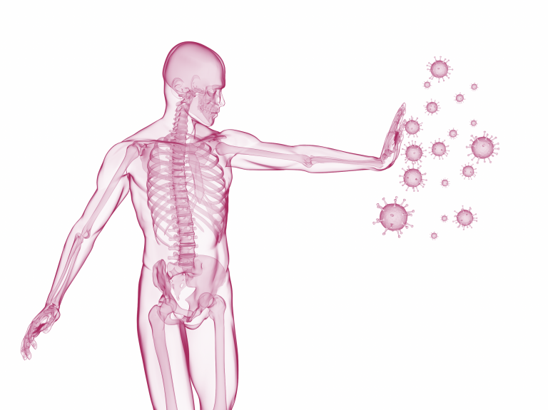 PEMF Therapy and Immune System