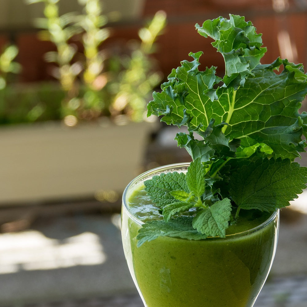 26 Science-Backed Health Benefits of Kale