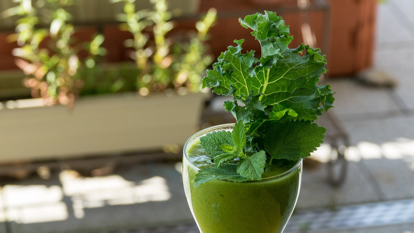 26 Science-Backed Health Benefits of Kale