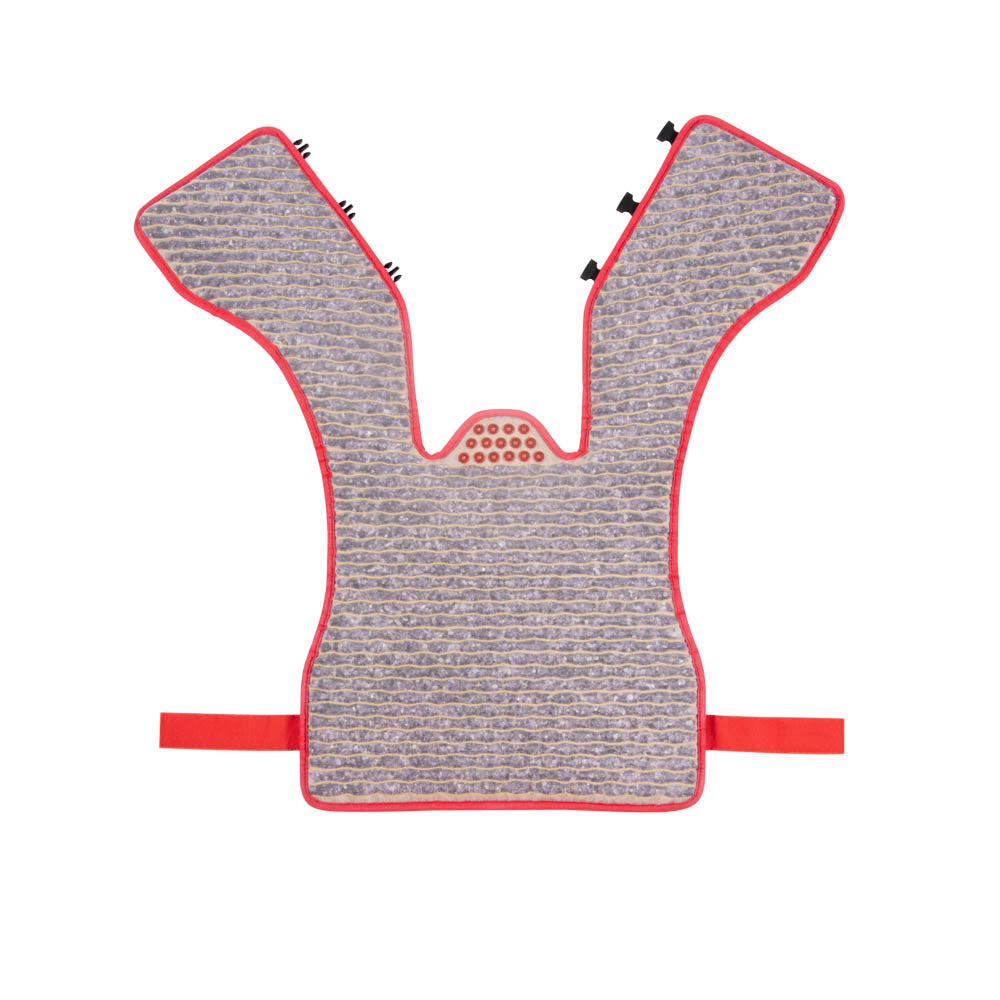 
                  
                    Amethyst Vest Soft | Photon PEMF InfraMat Pro®
                  
                