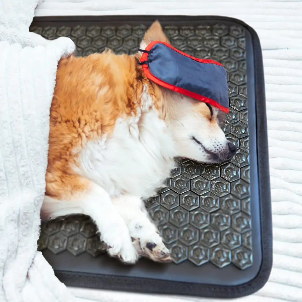 Pet Mat 32" x 20" PEMF Far Infrared Heating Mat