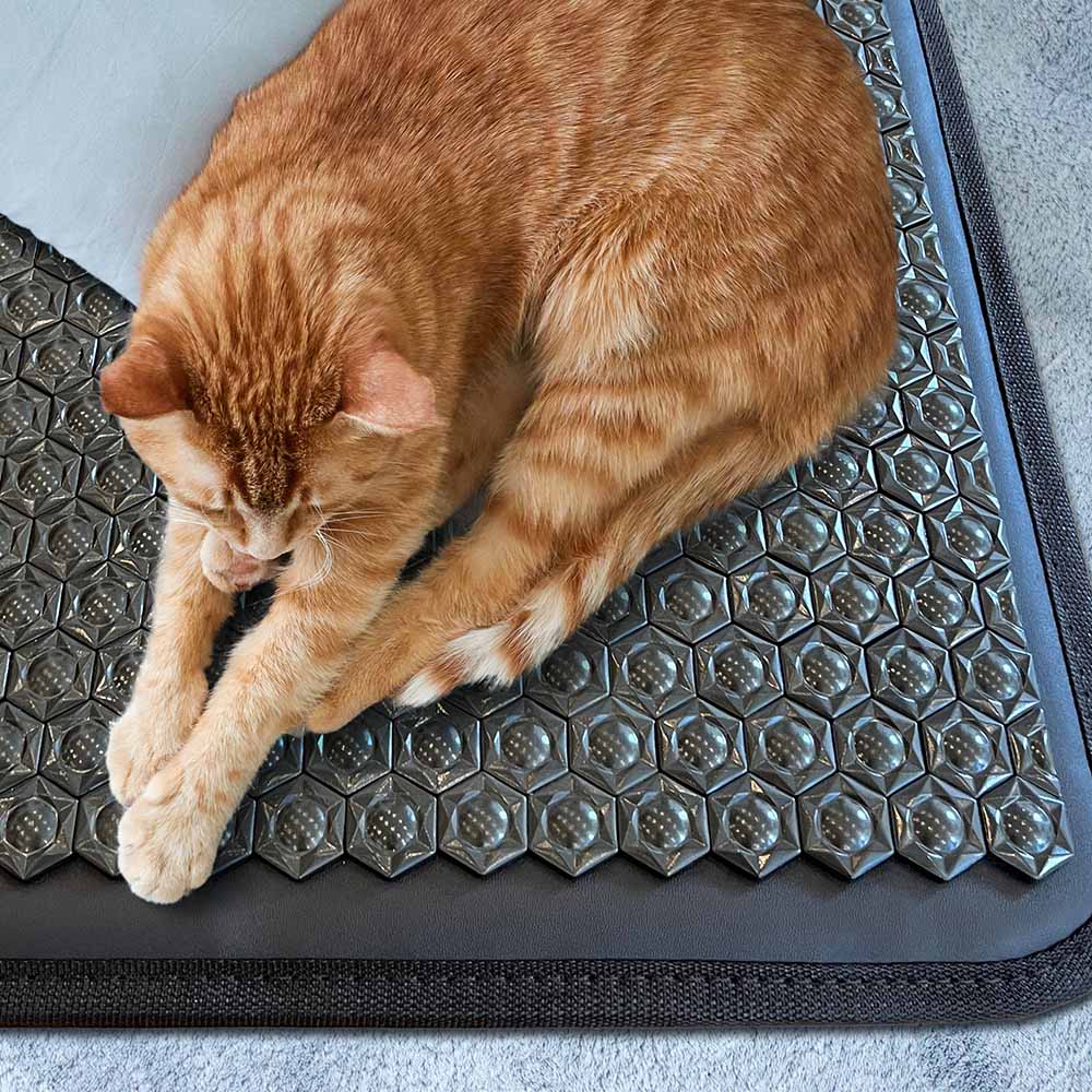 Pet-Mat™ T Large 5024 Firm | PEMF InfraMat Pro®