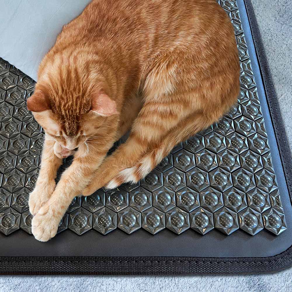 Large 5024 Firm PEMF InfraMat Pro® for Pets - Pet-Mat™ T