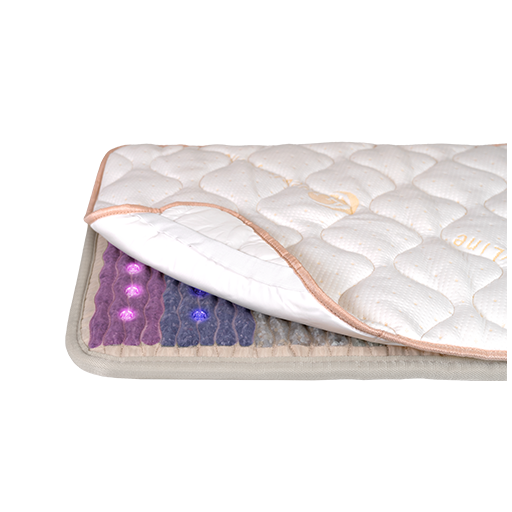 Cotton Padded & Waterproof Cover