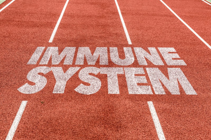 how to strengthen immune system
